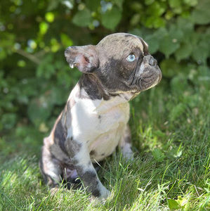 Meet your Posher, Marieta